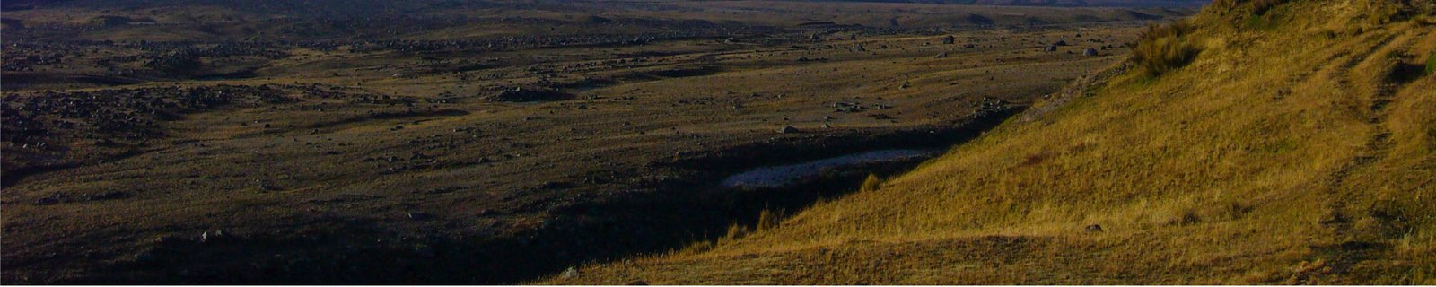 Andean landscape